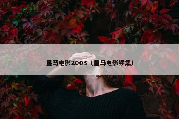 皇马电影2003（皇马电影续集）