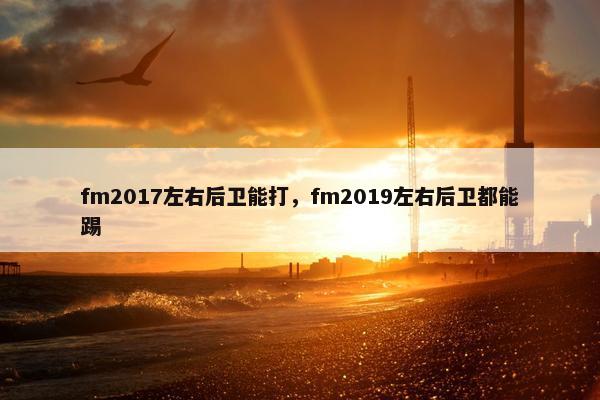 fm2017左右后卫能打，fm2019左右后卫都能踢