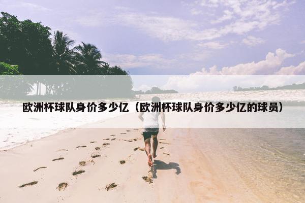 欧洲杯球队身价多少亿（欧洲杯球队身价多少亿的球员）