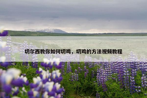 切尔西教你如何切鸡，切鸡的方法视频教程