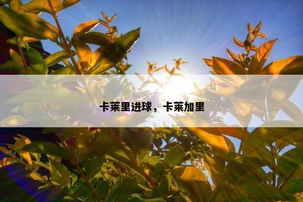 卡莱里进球，卡莱加里