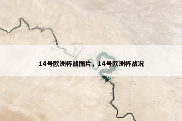 14号欧洲杯战图片，14号欧洲杯战况