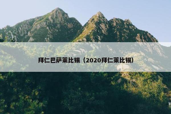 拜仁巴萨莱比锡（2020拜仁莱比锡）
