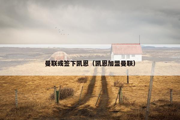 曼联或签下凯恩（凯恩加盟曼联）