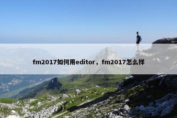 fm2017如何用editor，fm2017怎么样
