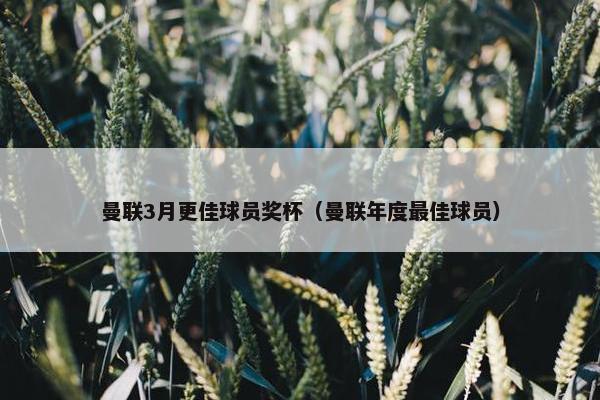 曼联3月更佳球员奖杯（曼联年度最佳球员）