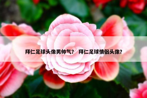拜仁足球头像男帅气？ 拜仁足球情侣头像？
