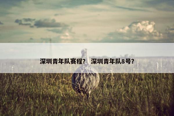 深圳青年队赛程？ 深圳青年队8号？