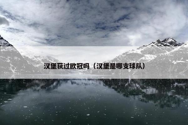 汉堡获过欧冠吗（汉堡是哪支球队）