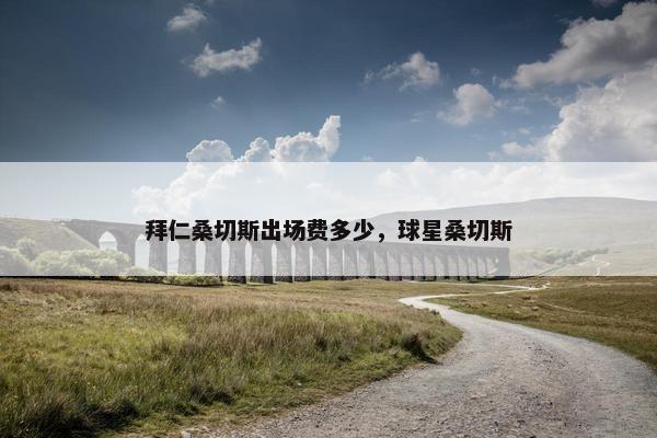 拜仁桑切斯出场费多少，球星桑切斯