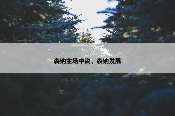 森纳主场中资，森纳发展