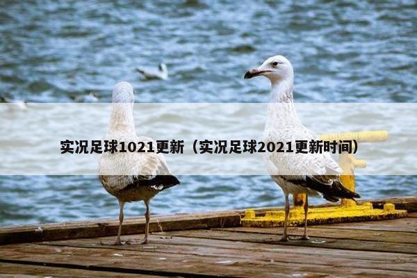 实况足球1021更新（实况足球2021更新时间）