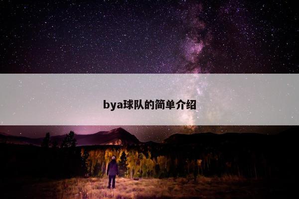 bya球队的简单介绍