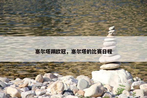 塞尔塔踢欧冠，塞尔塔的比赛日程
