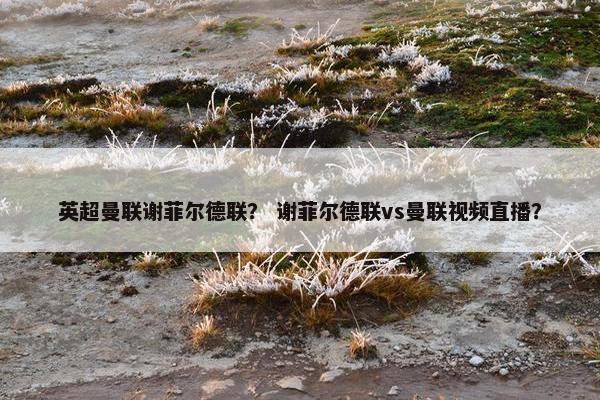 英超曼联谢菲尔德联？ 谢菲尔德联vs曼联视频直播？
