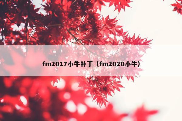 fm2017小牛补丁（fm2020小牛）