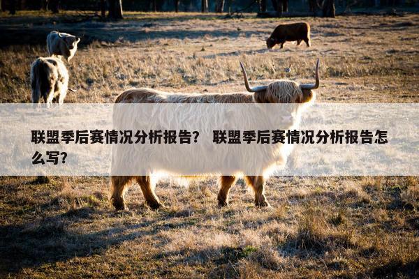 联盟季后赛情况分析报告？ 联盟季后赛情况分析报告怎么写？