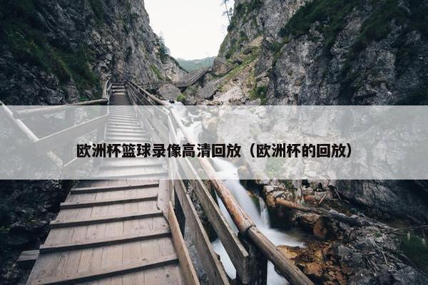 欧洲杯篮球录像高清回放（欧洲杯的回放）