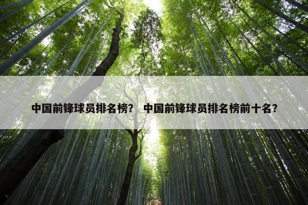 中国前锋球员排名榜？ 中国前锋球员排名榜前十名？