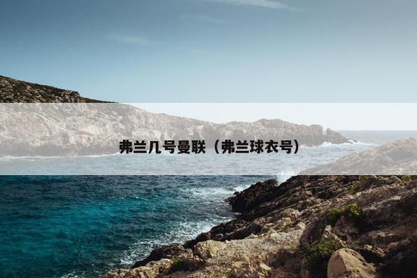 弗兰几号曼联（弗兰球衣号）