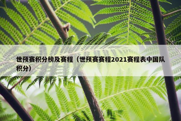 世预赛积分榜及赛程（世预赛赛程2021赛程表中国队积分）