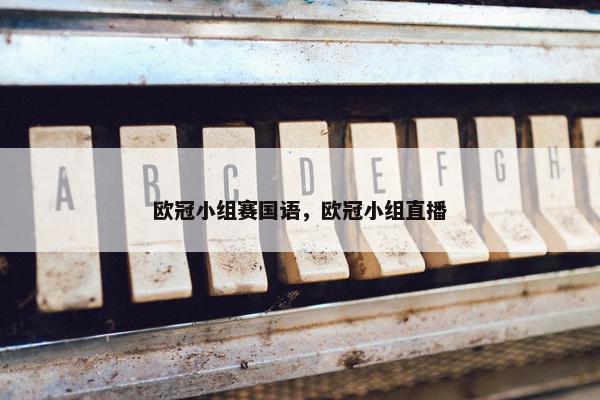 欧冠小组赛国语，欧冠小组直播