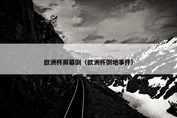欧洲杯屏幕倒（欧洲杯倒地事件）