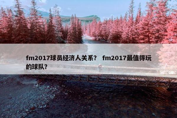 fm2017球员经济人关系？ fm2017最值得玩的球队？
