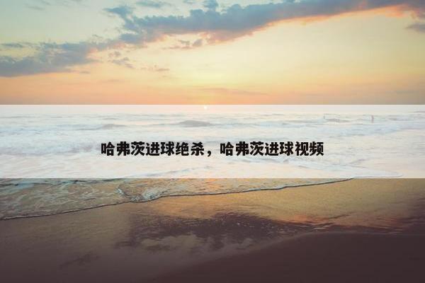 哈弗茨进球绝杀，哈弗茨进球视频