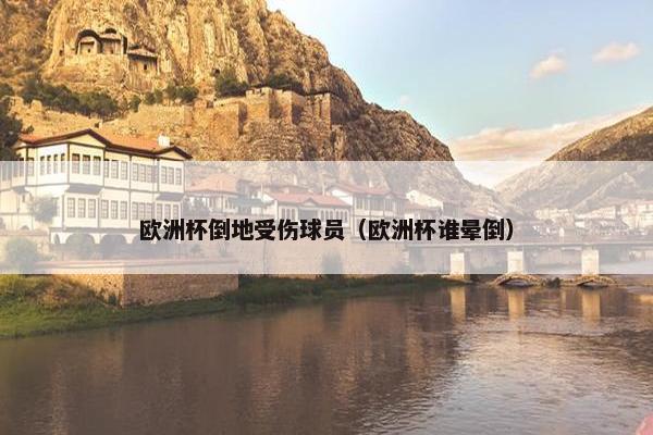 欧洲杯倒地受伤球员（欧洲杯谁晕倒）