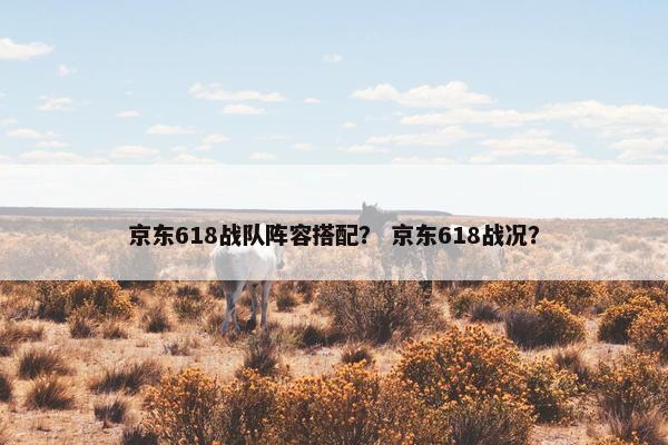 京东618战队阵容搭配？ 京东618战况？