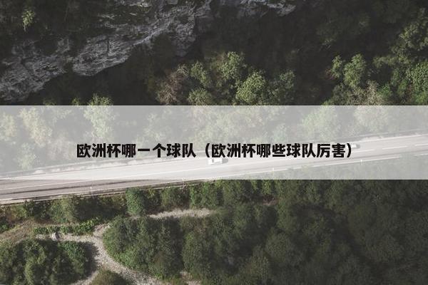 欧洲杯哪一个球队（欧洲杯哪些球队厉害）
