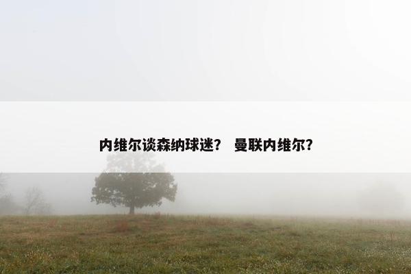 内维尔谈森纳球迷？ 曼联内维尔？