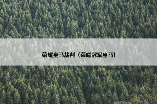 荣耀皇马裁判（荣耀冠军皇马）