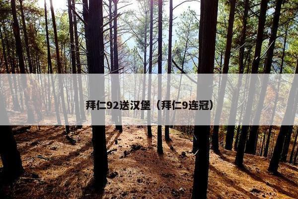 拜仁92送汉堡（拜仁9连冠）