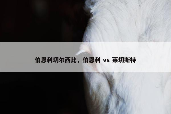 伯恩利切尔西比，伯恩利 vs 莱切斯特