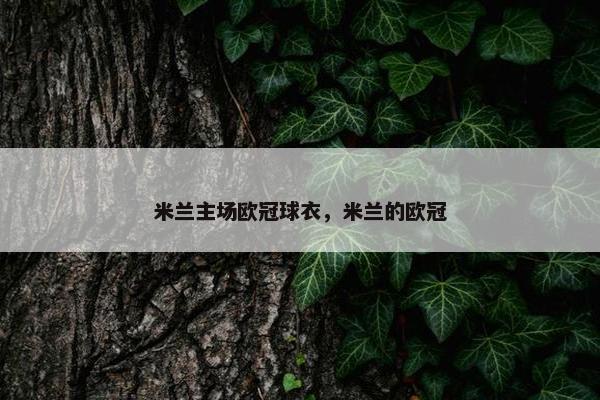 米兰主场欧冠球衣，米兰的欧冠