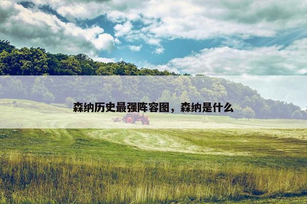 森纳历史最强阵容图，森纳是什么