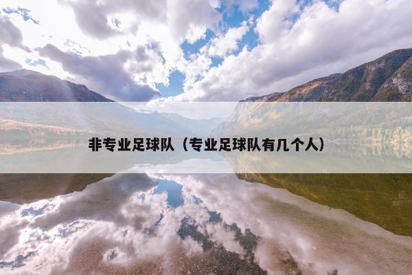 非专业足球队（专业足球队有几个人）