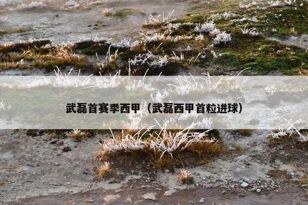 武磊首赛季西甲（武磊西甲首粒进球）