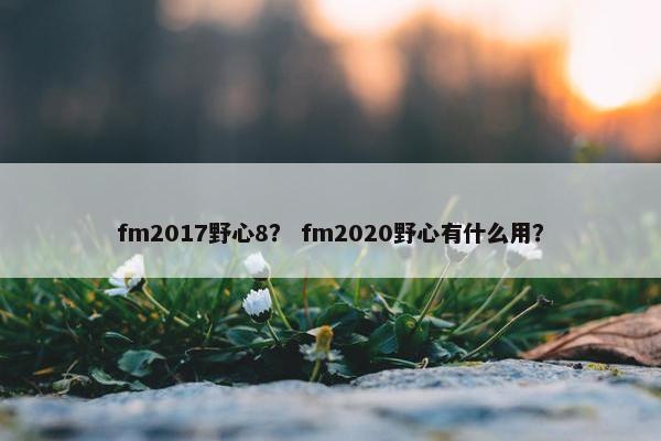 fm2017野心8？ fm2020野心有什么用？