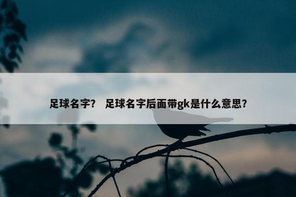 足球名字？ 足球名字后面带gk是什么意思？