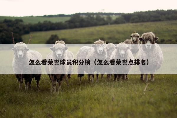 怎么看荣誉球员积分榜（怎么看荣誉点排名）