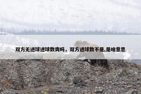 双方无进球进球数爽吗，双方进球数不是,是啥意思