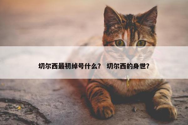 切尔西最初绰号什么？ 切尔西的身世？
