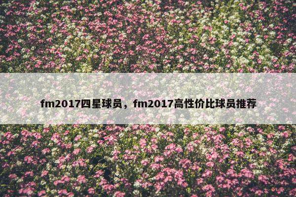 fm2017四星球员，fm2017高性价比球员推荐