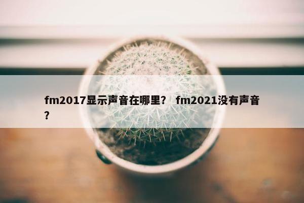 fm2017显示声音在哪里？ fm2021没有声音？