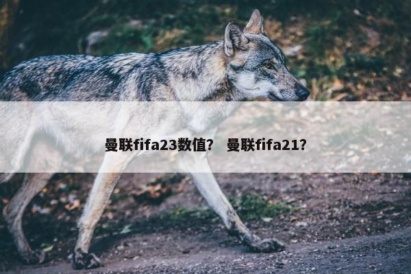 曼联fifa23数值？ 曼联fifa21？