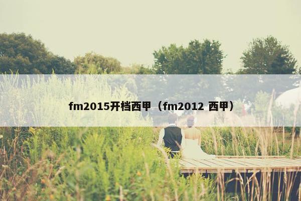fm2015开档西甲（fm2012 西甲）