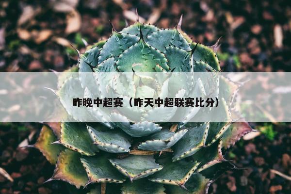 昨晚中超赛（昨天中超联赛比分）